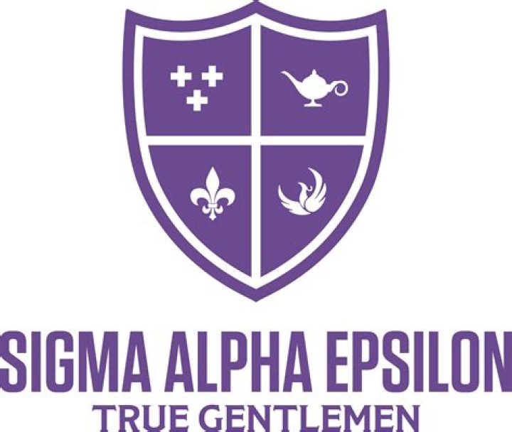 What is epsilon sigma alpha Foundation?