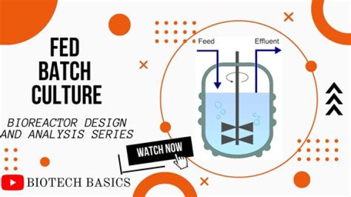 What is fed-batch system?