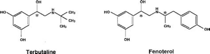 What is Fenoterol used for?
