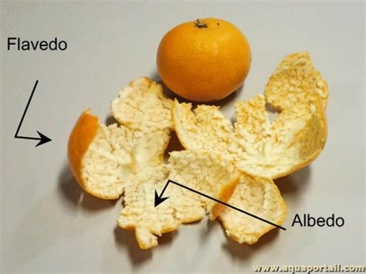What is flavedo?