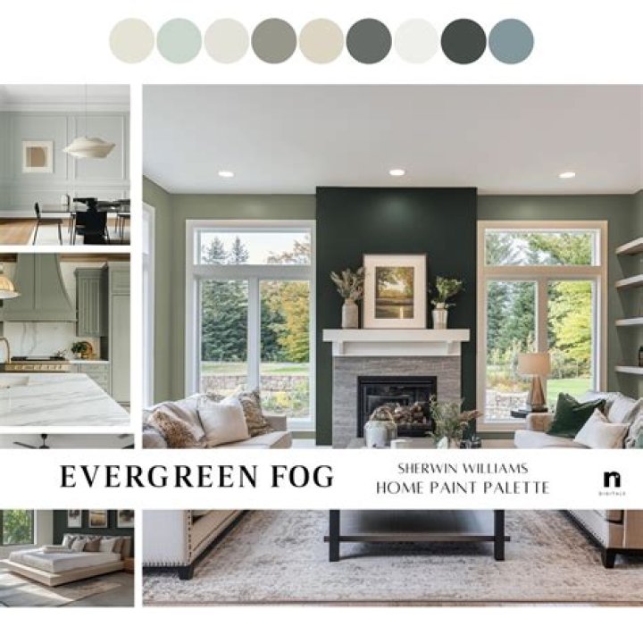 What is fog color in VRAY?