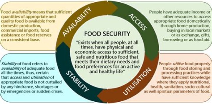 What is food security in short answer?