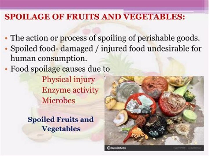 What is food spoilage meaning?
