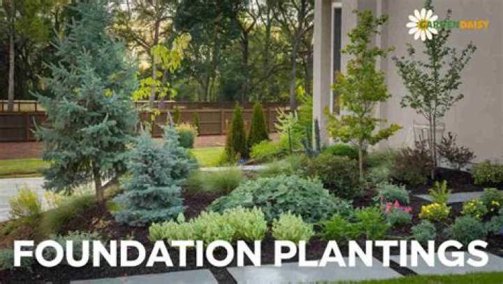 What is Foundation Plant Services?