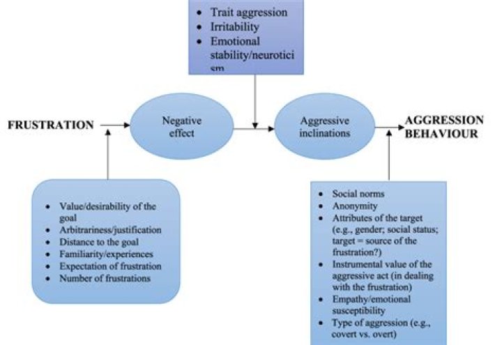What is frustration aggression theory examples?