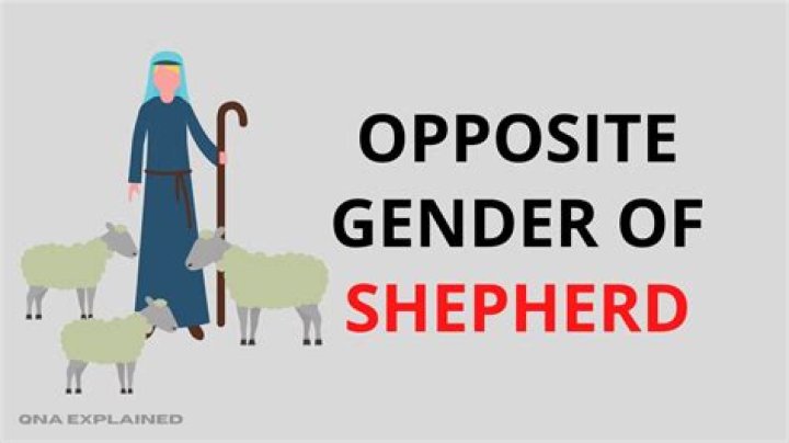 What is gender of Shepherd?