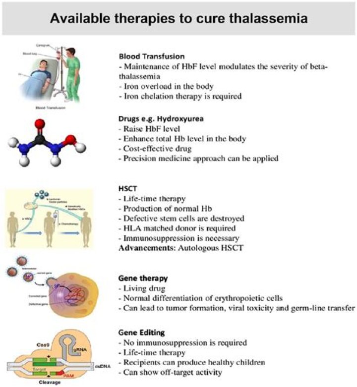 What is gene therapy for beta thalassemia?