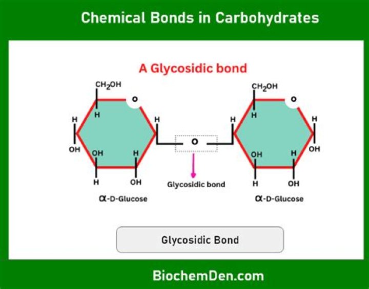 What is glycosidic bond with example?