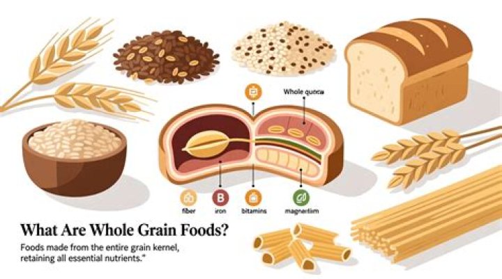 What is grain in biology?