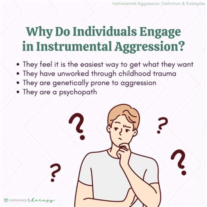 What is hetero aggression?