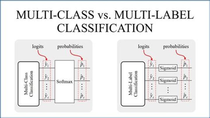 What is hierarchical multi-label classification?