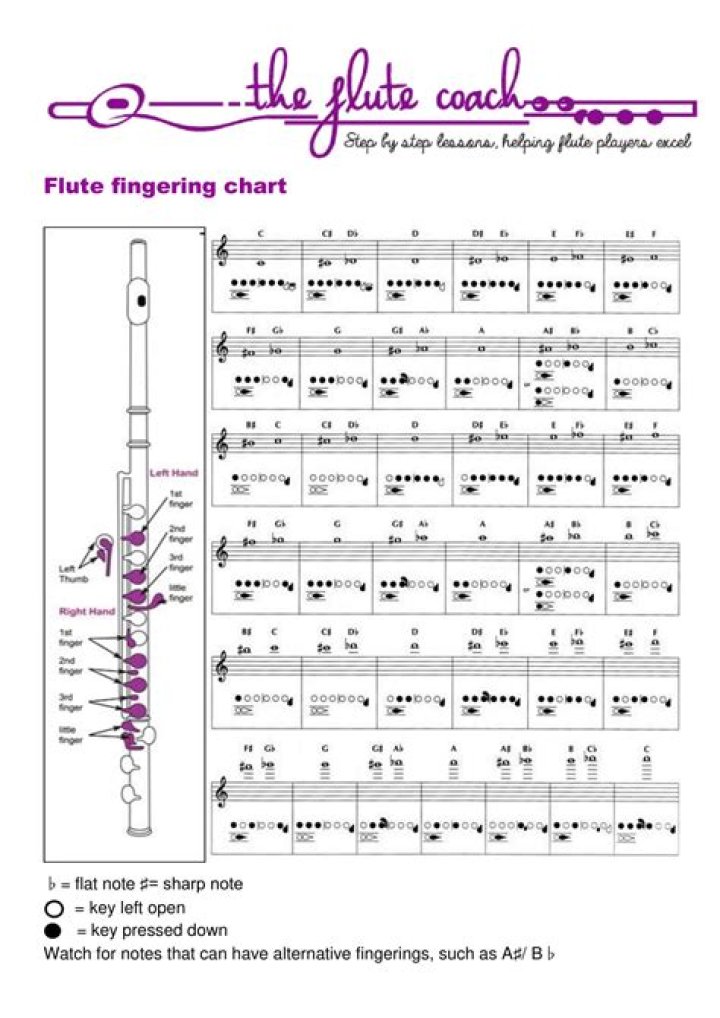 What is high F sharp on the flute?