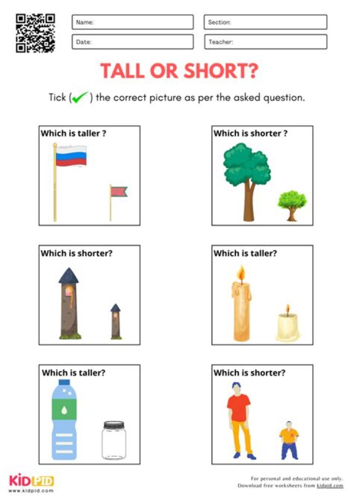 What is HLN short for?