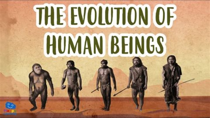 What is human being in anthropology?
