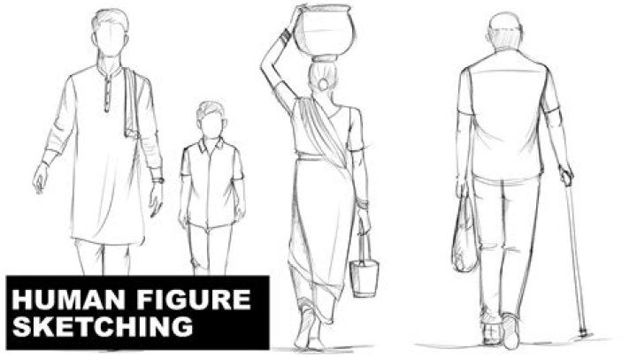 What is human figure study?