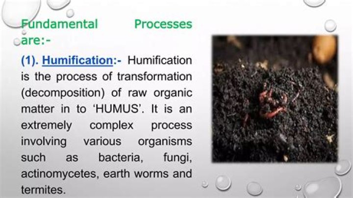 What is humification process?