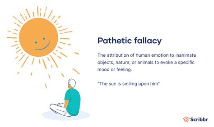 What is hypothetical fallacy?