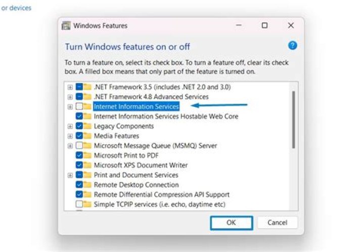 What is IIS on Windows 10?