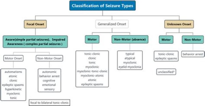 What is Ilae classification?