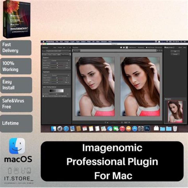 What is imagenomic professional plugin suite?