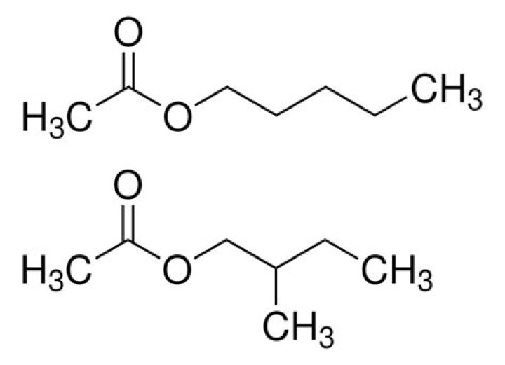 What is isoamyl isovalerate?