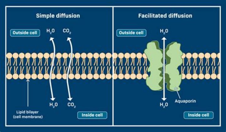 What is K in diffusion equation?