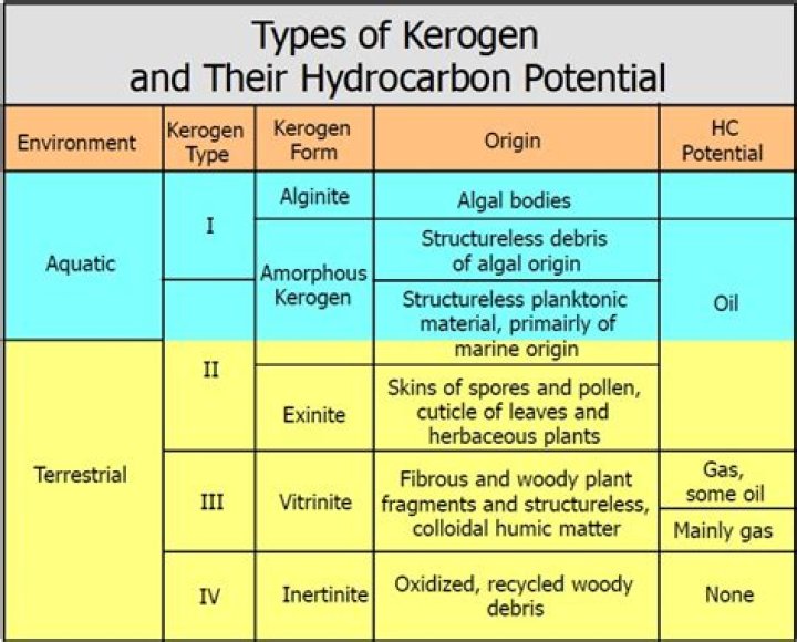 What is kerogen and types?