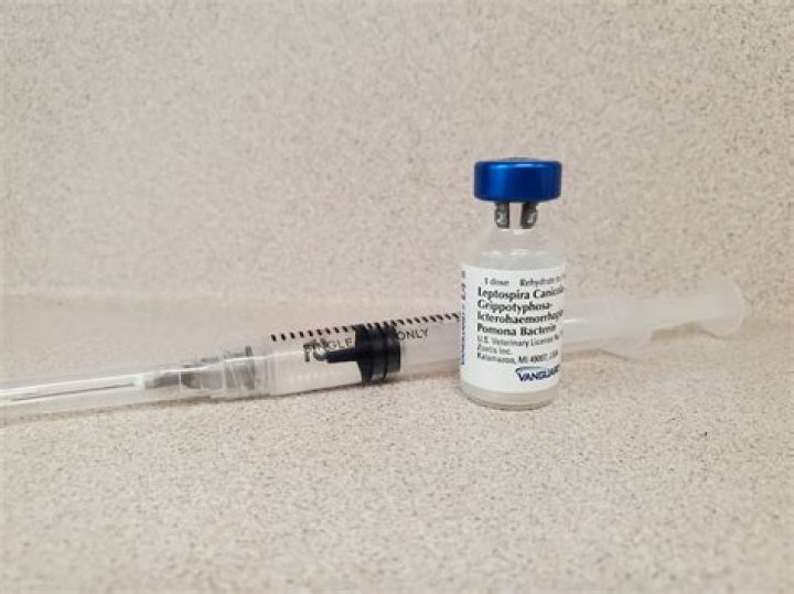 What is Leptospira Duramune 4L vaccine?