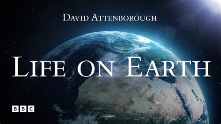What is life on Earth about?
