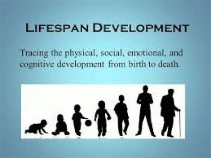 What is lifespan development theory?