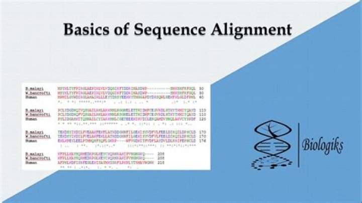 What is local alignment in bioinformatics?