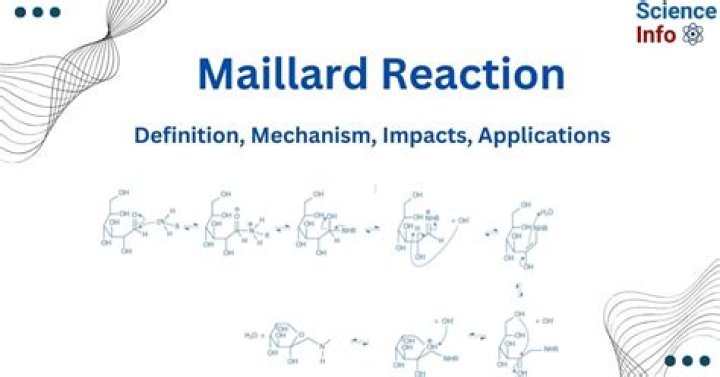What is Maillard reaction example?