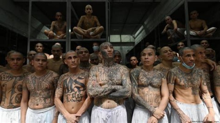 What is Mara Salvatrucha?