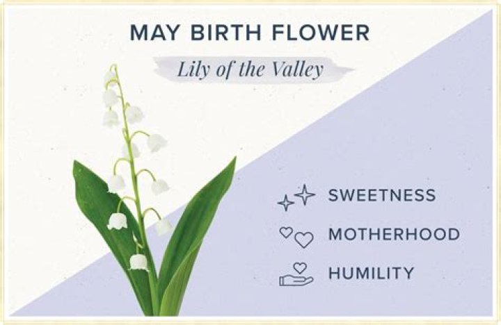 What is May flower of the month?