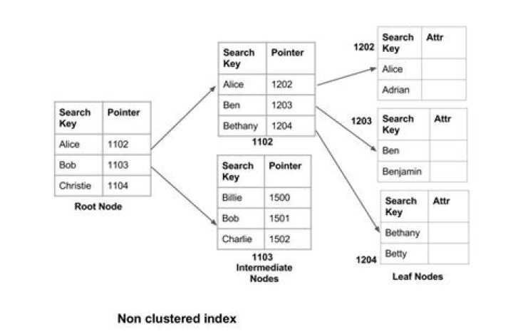 What is meant by clustered index?