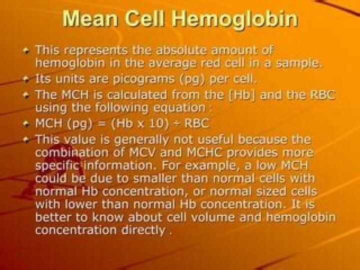 What is meant by mean cell hemoglobin?