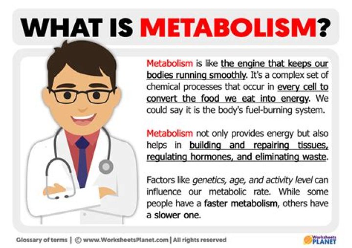 What is meant by metasomatism?