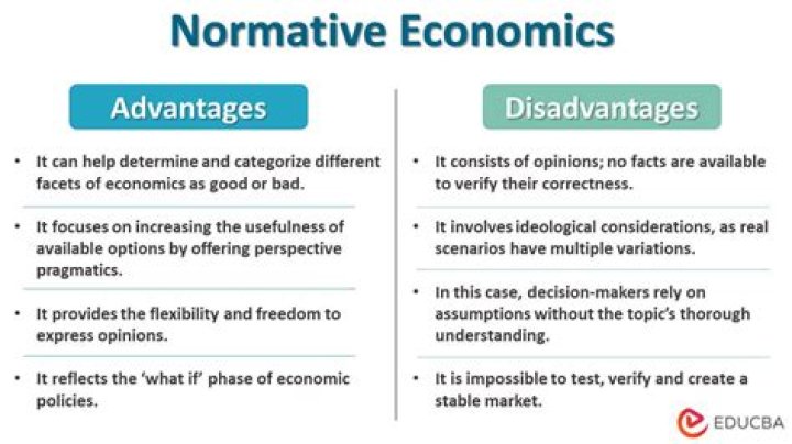What is meant by normative grammar?