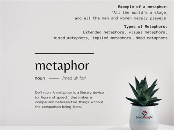 What is metaphor in biology?