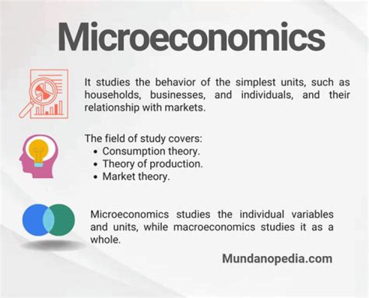 What is microeconomics kid definition?