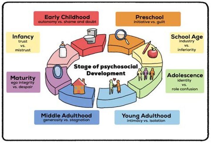 What is middle adulthood according to Erikson?