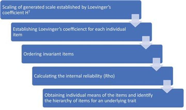What is Mokken analysis?