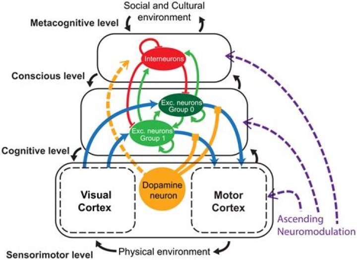 What is motivated social cognition?