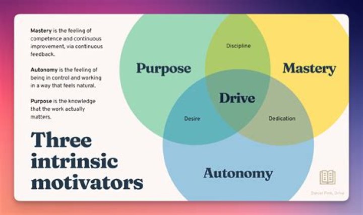 What is motivation according to Robbins?