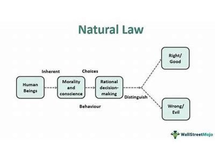 What is natural law in political science?