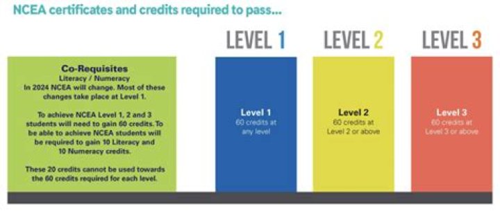 What is NCEA level?