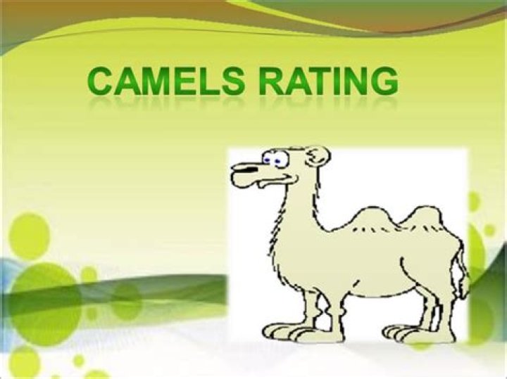 What is NCUA camel rating?
