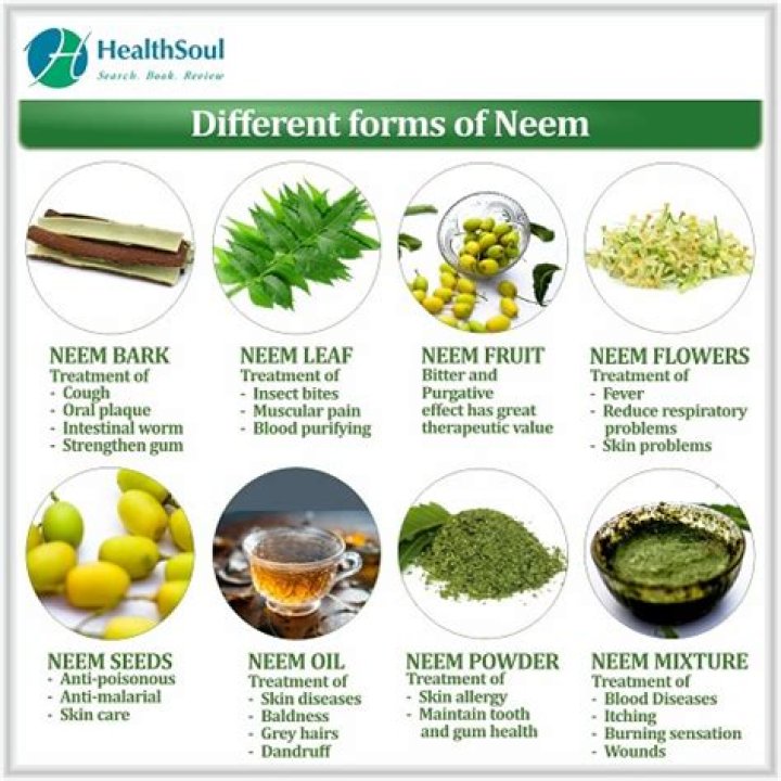 What is neem used for?