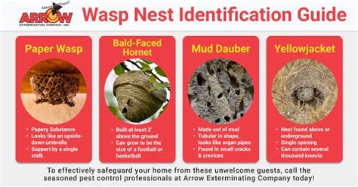 What is Nest used for?