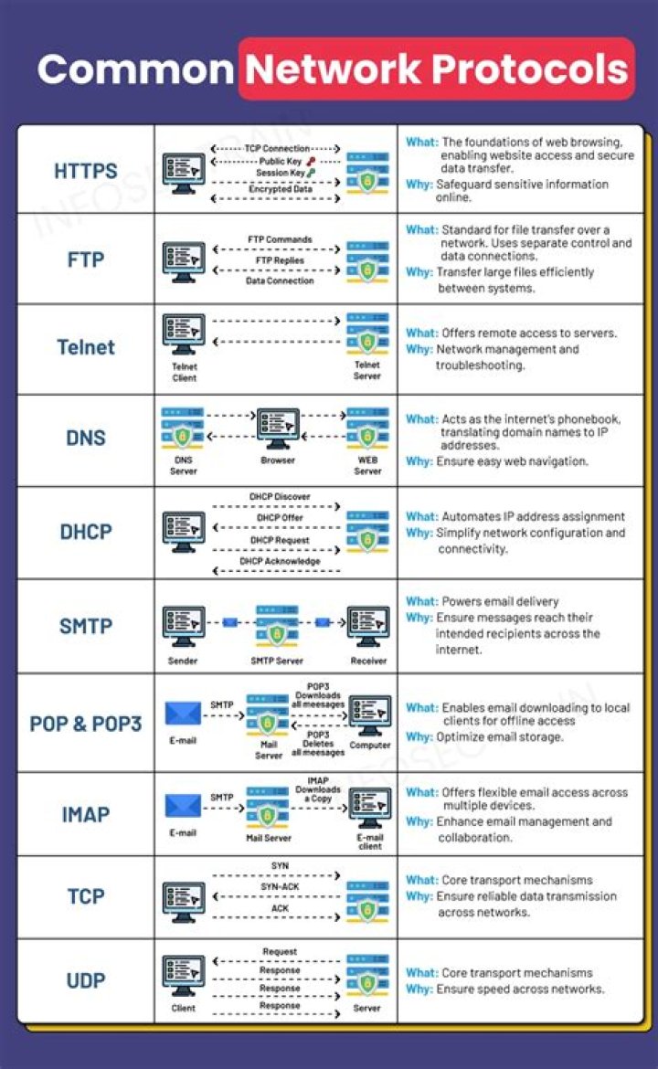 What is network protocol and its examples?